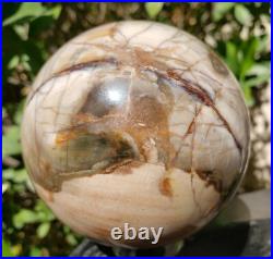 3.4 Petrified Wood Sphere Orb Quartz Crystal Ball Fossil Mineral UV, 874g 3.4 Petrified Wood Sphere Orb Quartz Crystal Ball Fossil Mineral UV, 874g
