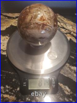 3.4 Petrified Wood Sphere Orb Quartz Crystal Ball Fossil Mineral UV, 874g 3.4 Petrified Wood Sphere Orb Quartz Crystal Ball Fossil Mineral UV, 874g