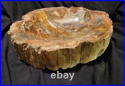 3.5 Lbs Petrified Wood Ashtray Bowl Fossil
