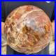 3_5lb_Natural_Petrified_Wood_Crystal_Ball_Fossil_Polished_Sphere_Specimen_01_pzw
