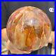 3_5lb_Natural_Petrified_Wood_Crystal_Ball_Fossil_Polished_Sphere_Specimen_01_vxu