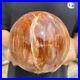 3_5lb_Natural_Petrified_Wood_fossil_Quartz_sphere_Crystal_Ball_specimen_Healing_01_kpgu