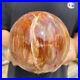 3_5lb_Natural_Petrified_Wood_fossil_Quartz_sphere_Crystal_Ball_specimen_Healing_01_vtv