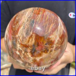 3.5lb Natural Petrified Wood fossil Quartz sphere Crystal Ball specimen Healing