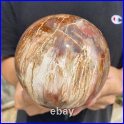 3.5lb Natural Petrified Wood fossil Quartz sphere Crystal Ball specimen Healing