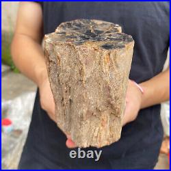 3.5lb Rare Natural petrified wood rough Wood fossil mineral specimen healing