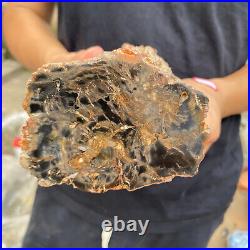 3.5lb Rare Natural petrified wood rough Wood fossil mineral specimen healing