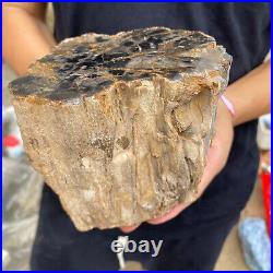 3.5lb Rare Natural petrified wood rough Wood fossil mineral specimen healing