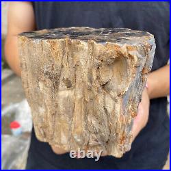 3.5lb Rare Natural petrified wood rough Wood fossil mineral specimen healing