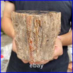 3.5lb Rare Natural petrified wood rough Wood fossil mineral specimen healing