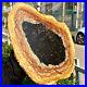 3_6LB_Large_Natural_Petrified_Wood_Crystal_Fossil_Slice_Shape_Specimen_Healing_01_tua