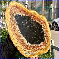 3.6LB Large Natural Petrified Wood Crystal Fossil Slice Shape Specimen Healing