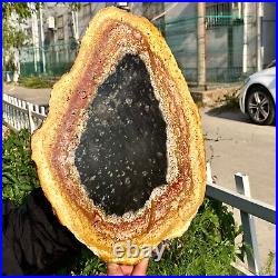 3.6LB Large Natural Petrified Wood Crystal Fossil Slice Shape Specimen Healing