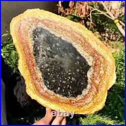 3.6LB Large Natural Petrified Wood Crystal Fossil Slice Shape Specimen Healing