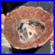 3_6LB_Rare_red_Natural_petrified_wood_rough_Wood_fossil_mineral_specimen_healing_01_zaq