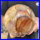 3_6lb_Natural_Petrified_Wood_fossil_Quartz_sphere_Crystal_Ball_specimen_Healing_01_fkl