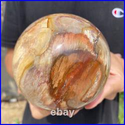 3.6lb Natural Petrified Wood fossil Quartz sphere Crystal Ball specimen Healing