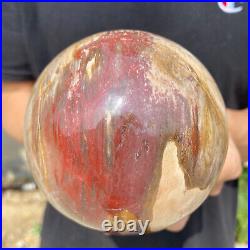 3.6lb Natural Petrified Wood fossil Quartz sphere Crystal Ball specimen Healing