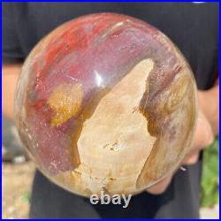 3.6lb Natural Petrified Wood fossil Quartz sphere Crystal Ball specimen Healing