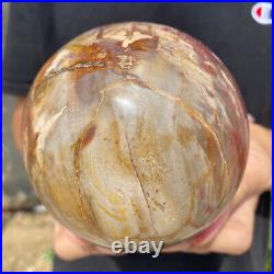 3.6lb Natural Petrified Wood fossil Quartz sphere Crystal Ball specimen Healing