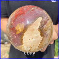 3.6lb Natural Petrified Wood fossil Quartz sphere Crystal Ball specimen Healing