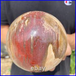 3.6lb Natural Petrified Wood fossil Quartz sphere Crystal Ball specimen Healing