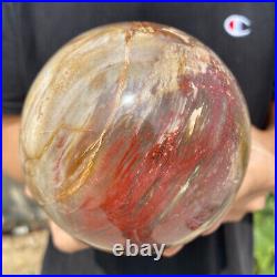 3.6lb Natural Petrified Wood fossil Quartz sphere Crystal Ball specimen Healing