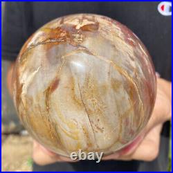 3.6lb Natural Petrified Wood fossil Quartz sphere Crystal Ball specimen Healing