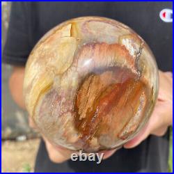 3.6lb Natural Petrified Wood fossil Quartz sphere Crystal Ball specimen Healing