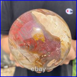 3.6lb Natural Petrified Wood fossil Quartz sphere Crystal Ball specimen Healing