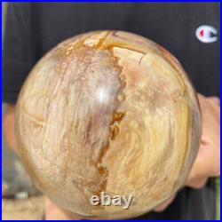 3.6lb Natural Petrified Wood fossil Quartz sphere Crystal Ball specimen Healing