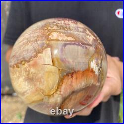 3.6lb Natural Petrified Wood fossil Quartz sphere Crystal Ball specimen Healing