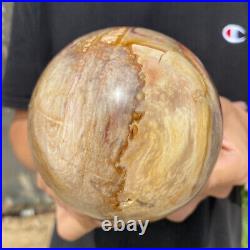 3.6lb Natural Petrified Wood fossil Quartz sphere Crystal Ball specimen Healing