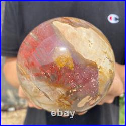 3.6lb Natural Petrified Wood fossil Quartz sphere Crystal Ball specimen Healing