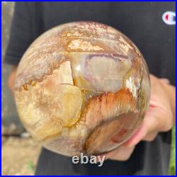 3.6lb Natural Petrified Wood fossil Quartz sphere Crystal Ball specimen Healing