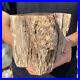3_6lb_Rare_Natural_petrified_wood_rough_Wood_fossil_mineral_specimen_healing_01_cwfm