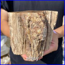 3.6lb Rare Natural petrified wood rough Wood fossil mineral specimen healing 3.6lb Rare Natural petrified wood rough Wood fossil mineral specimen healing