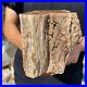 3_6lb_Rare_Natural_petrified_wood_rough_Wood_fossil_mineral_specimen_healing_01_lr
