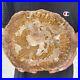 3_6lb_Rare_Natural_petrified_wood_rough_Wood_fossil_mineral_specimen_healing_01_nyey
