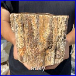 3.6lb Rare Natural petrified wood rough Wood fossil mineral specimen healing 3.6lb Rare Natural petrified wood rough Wood fossil mineral specimen healing