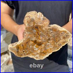3.6lb Rare Natural petrified wood rough Wood fossil mineral specimen healing 3.6lb Rare Natural petrified wood rough Wood fossil mineral specimen healing