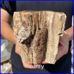 3.6lb Rare Natural petrified wood rough Wood fossil mineral specimen healing 3.6lb Rare Natural petrified wood rough Wood fossil mineral specimen healing
