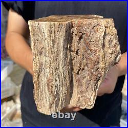 3.6lb Rare Natural petrified wood rough Wood fossil mineral specimen healing 3.6lb Rare Natural petrified wood rough Wood fossil mineral specimen healing