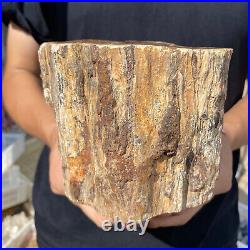 3.6lb Rare Natural petrified wood rough Wood fossil mineral specimen healing 3.6lb Rare Natural petrified wood rough Wood fossil mineral specimen healing