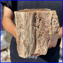 3.6lb Rare Natural petrified wood rough Wood fossil mineral specimen healing 3.6lb Rare Natural petrified wood rough Wood fossil mineral specimen healing