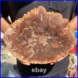 3.7LB Rare red Natural petrified wood rough Wood fossil mineral specimen healing