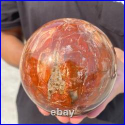 3.8lb Natural Petrified Wood Crystal Ball Fossil Polished Sphere Specimen 3.8lb Natural Petrified Wood Crystal Ball Fossil Polished Sphere Specimen