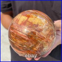 3.8lb Natural Petrified Wood Crystal Ball Fossil Polished Sphere Specimen 3.8lb Natural Petrified Wood Crystal Ball Fossil Polished Sphere Specimen
