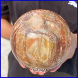 3.8lb Natural Petrified Wood Crystal Ball Fossil Polished Sphere Specimen 3.8lb Natural Petrified Wood Crystal Ball Fossil Polished Sphere Specimen