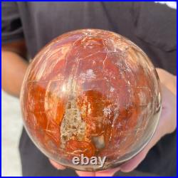 3.8lb Natural Petrified Wood Crystal Ball Fossil Polished Sphere Specimen 3.8lb Natural Petrified Wood Crystal Ball Fossil Polished Sphere Specimen
